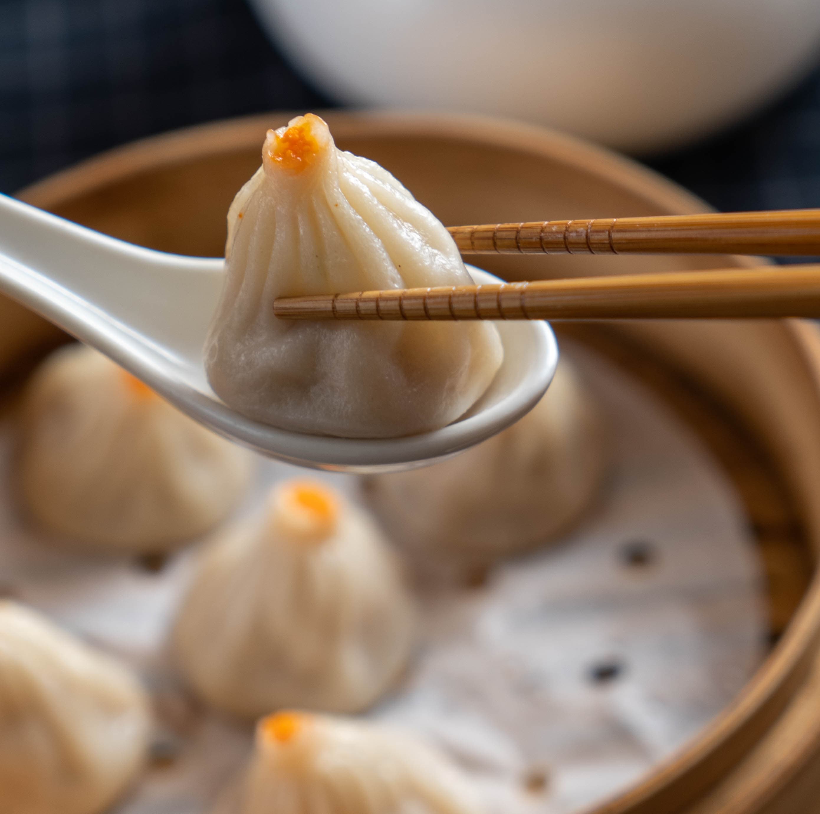 Dumpling Capital 1